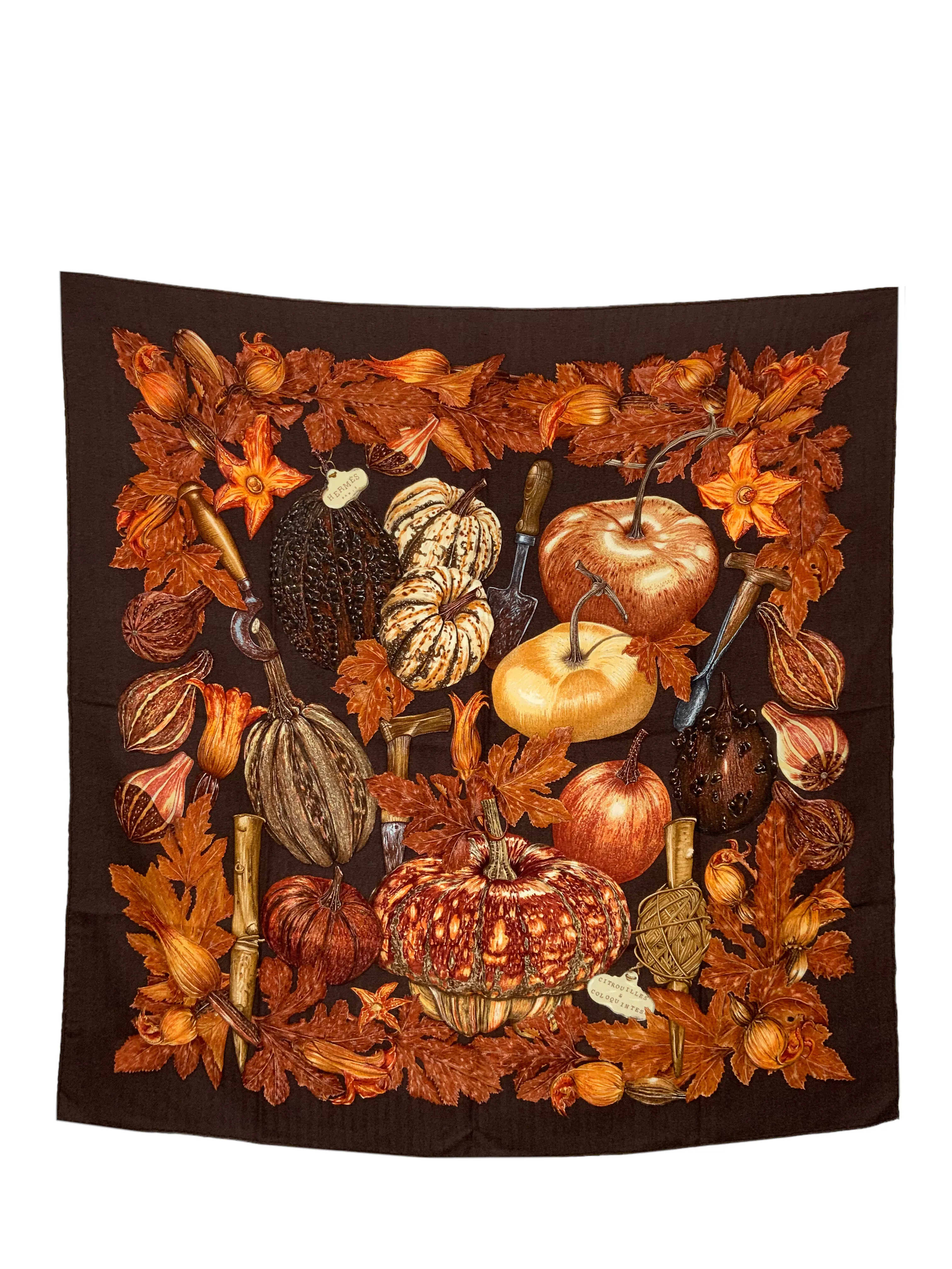 HERMES Citrouilles Et Coloquintes Cashmere Scarf 90