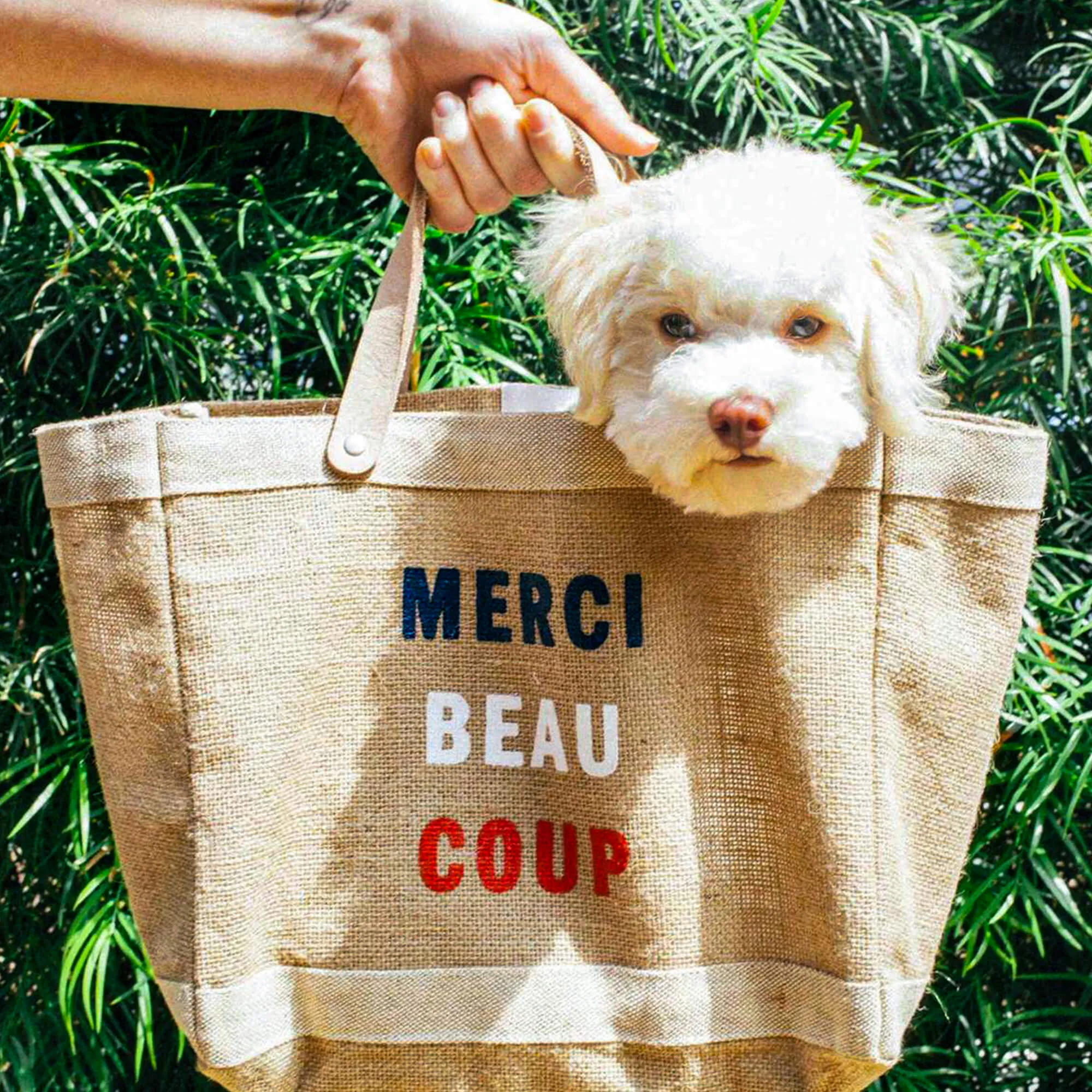 Petite Market Bag in Natural for Clare V. “Merci Beau Coup”